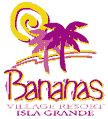 Hotel Bananas Village Resort